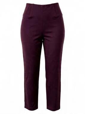 TanJay Burgundy Straight Leg Pull on Stretch Pants Size 14P Inseam 24in